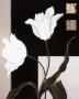Urban Tulips by Jennifer Hammond Limited Edition Pricing Art Print