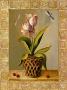 La Tulips by Milieu Du Ciel Limited Edition Pricing Art Print