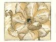 Tone On Tone Petals Vi by Nancy Slocum Limited Edition Print