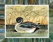 Green Duck Ii by Franz Heigl Limited Edition Pricing Art Print