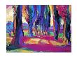 Pathway To The Vineyard by Gerry Baptist Limited Edition Pricing Art Print
