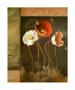 Poppies by Lisa Audit Limited Edition Print