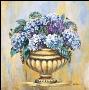 Blue Hydrangea Delight by Katharina Schottler Limited Edition Print