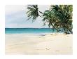 Caribbean Sea by Neil Murison Limited Edition Print