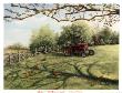 Pheasant Day by Judy Richardson Limited Edition Print