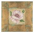 Poppy In Gold by Shari White Limited Edition Print