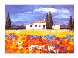 Provence Ii by I. Matthaus Limited Edition Pricing Art Print