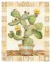 Cacti Iv by Bradley H. Clark Limited Edition Pricing Art Print