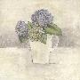 Hydrangea by Victoria Gerken Limited Edition Pricing Art Print