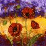 Ruby Red Poppies by Tina Chaden Limited Edition Print