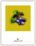 Blueberries by Anthony Morrow Limited Edition Print