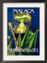 Malaga D'semana Santa by Schneck Limited Edition Pricing Art Print