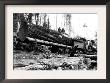 Transporting Fallen Old Growth by Clark Kinsey Limited Edition Print