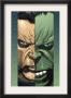 Ultimate Wolverine Vs. Hulk #2 Cover: Logan And Hulk by Leinil Francis Yu Limited Edition Pricing Art Print