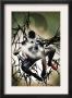 Dark Reign: Mister Negative #2 Cover: Spider-Man by Jae Lee Limited Edition Print