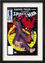 Marvel Tales: Spider-Man #226 Cover: Spider-Man by Todd Mcfarlane Limited Edition Pricing Art Print