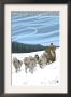 Steamboat Springs, Co - Dogsled Scene, C.2009 by Lantern Press Limited Edition Print
