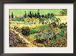 Flowering Garden by Vincent Van Gogh Limited Edition Print