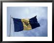National Flag Of Barbados by Timothy O'keefe Limited Edition Print
