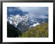 White River Nf, Maroon Bells, Co by Don Grall Limited Edition Print