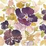 Aubergine Blossom I by Edith Lentz Limited Edition Print