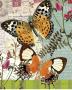 Bountiful Butterfly I by Walter Robertson Limited Edition Print