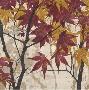 Maple Story I by Melissa Pluch Limited Edition Print