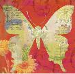 Red Pop Butterfly by Walter Robertson Limited Edition Pricing Art Print