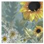 Sunflower Garden I by Francine Funke Limited Edition Pricing Art Print