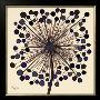 Lilac Bubble Flower by Alan Buckle Limited Edition Print