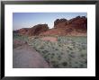 Semi-Arid Scrub Desert, Valley Of Fire State Park, Usa by Olaf Broders Limited Edition Print