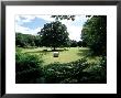 Hay Bales, Uk by David Cayless Limited Edition Print