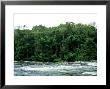 Rio Platano, Honduras by Paul Franklin Limited Edition Pricing Art Print