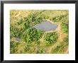 Aerial View Of Petes Pond Waterhole With African Elephant Drinking, Mashatu Game Reserve, Botswana by Roger De La Harpe Limited Edition Print