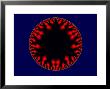 Abstract Circular Graphic On Navy Blue Background by Albert Klein Limited Edition Print
