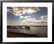 African Elephant, Herd Drinking, Botswana by Mike Powles Limited Edition Print