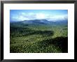 Koip Mountains, Ural, Russia by Konrad Wothe Limited Edition Print