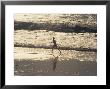 Boy Running On Beach, Venice Beach, Ca by Harvey Schwartz Limited Edition Print