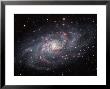 The Triangulum Galaxy by Stocktrek Images Limited Edition Pricing Art Print