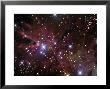The Cone Nebula And Christmas Tree Cluster by Stocktrek Images Limited Edition Print