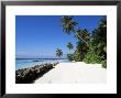 Nakatchafushi, Maldives, Indian Ocean by Robert Harding Limited Edition Pricing Art Print