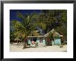 Palm Island, The Grenadines, Windward Islands, West Indies, Caribbean, Central America by Fraser Hall Limited Edition Print