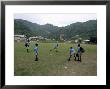 Boys Playing Cricket At Charlotteville, Tobago, West Indies, Caribbean, Central America by Yadid Levy Limited Edition Print