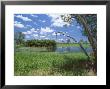 The Yellow Water Wetlands On Floodplain Of The Alligator River, Kakadu National Park, Australia by Robert Francis Limited Edition Print