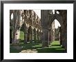 Rievaulx Abbey, Yorkshire, England, United Kingdom by Adam Woolfitt Limited Edition Print