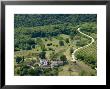 Croatia, Istria, Motovun, Countryside Landscape by Walter Bibikow Limited Edition Print