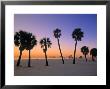 Clearwater Beach, Florida, Usa by John Coletti Limited Edition Print