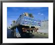 Camels Being Driven To Market In Back Of Truck, Cairo, Egypt by Sylvain Grandadam Limited Edition Print