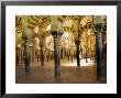 Arches In The Interior Of The Great Mosque, Cordoba, Unesco World Heritage Site, Andalucia, Spain by James Emmerson Limited Edition Print