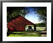 Buggy In The Red Barn by Jody Miller Limited Edition Print